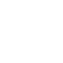 DMT